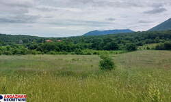 Plac, Boljevac, Mirovo, prodaja, 0m2, 8890e, id1391753