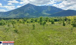 Plac, Boljevac, Mirovo, prodaja, 0m2, 40600e, id1390076