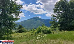 Plac, Boljevac, Mirovo, prodaja, 0m2, 12000e, id1390078