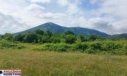 Plac, Boljevac, Mirovo, prodaja, 0m2, 32700e, id1390079