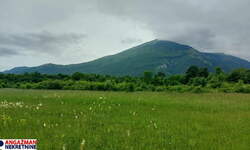 Plac, Boljevac, Mirovo, prodaja, 0m2, 10750e, id1389766