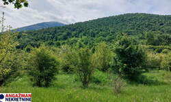 Plac, Boljevac, Mirovo, prodaja, 0m2, 9900e, id1389767