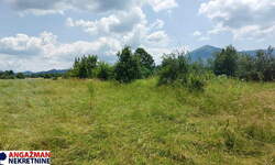 Plac, Boljevac, Mali Izvor, prodaja, 0m2, 10000e, id1382842