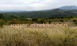 Plac, Boljevac, Vrbovac, prodaja, 0m2, 50000e, id806989