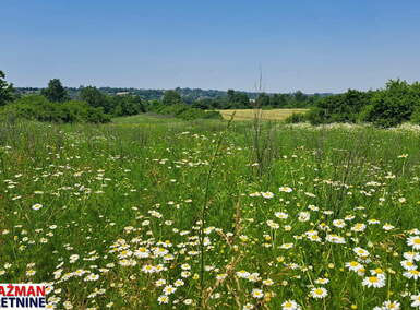 Plac, Beograd, Veliki Borak, prodaja, 0m2, 78000e, id1396063