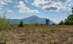 Plac, Boljevac, Ilino, prodaja, 0m2, 41500e, id1265542