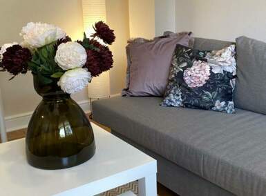 Garsonjera, Novi Sad, izdavanje, 25m2, 360e, id1454936