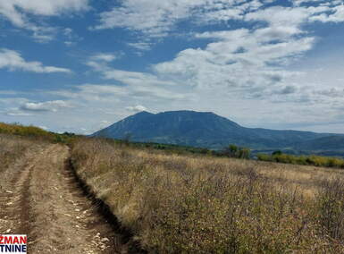 Plac, Boljevac, Krivi Vir, prodaja, 0m2, 7500e, id1449428