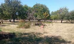 Plac, Rača, Centar, prodaja, 54416m2, 55e, id1454994