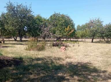 Plac, Rača, Centar, prodaja, 54416m2, 55e, id1454994