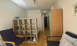 Jednosoban stan, Novi Sad, Centar, izdavanje, 30m2, 300e, id1455000