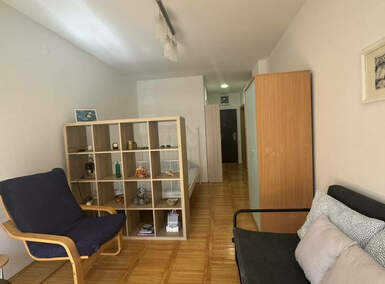 Jednosoban stan, Novi Sad, Centar, izdavanje, 30m2, 300e, id1455000