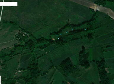 Plac, Boljevac, Ilino, prodaja, 0m2, 14000e, id1356081