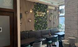 Poslovni prostor / Lokal, Novi Sad, izdavanje, 45m2, 750e, id1455112