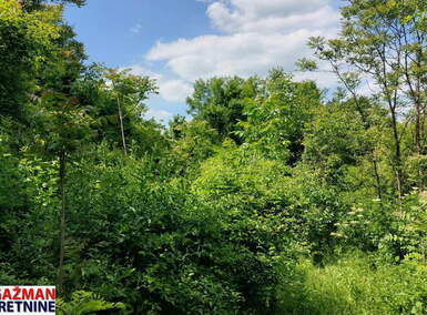 Plac, Beograd, Popović, prodaja, 0m2, 33000e, id1382249