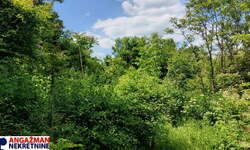 Plac, Beograd, Popović, prodaja, 0m2, 33000e, id1382249