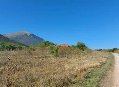 Plac, Boljevac, Ilino, prodaja, 0m2, 31200e, id1261891