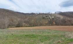 Plac, Boljevac, Dobro polje, prodaja, 0m2, 10000e, id1190560