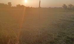 Plac, Novi Sad, prodaja, 0m2, 75000e, id1455326