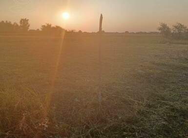 Plac, Novi Sad, prodaja, 0m2, 75000e, id1455326