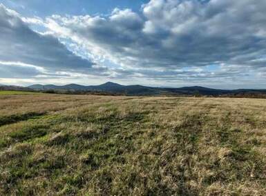 Kuca, Boljevac, Bačevica, prodaja, 54m2, 55000e, id1151609