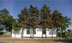 Kuca, Srbobran, prodaja, 500m2, 130900e, id1455369