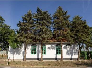 Kuca, Srbobran, prodaja, 500m2, 130900e, id1455369