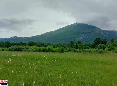 Plac, Boljevac, Mirovo, prodaja, 0m2, 10750e, id1389766