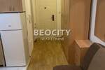 Jednosoban stan, Novi Sad, Grbavica, izdavanje, 25m2, 250e, id1455503