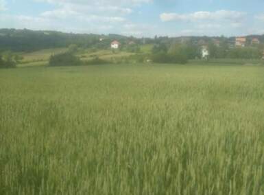 Plac, Beograd, Babe, prodaja, 0m2, 39000e, id1241680