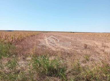 Plac, Beograd, Batajnica, prodaja, 0m2, 265000e, id1448583