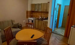 Jednoiposoban stan, Novi Sad, Nova Detelinara, izdavanje, 30m2, 300e, id1455543