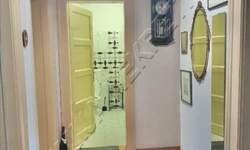 Dvosoban stan, Beograd, Tašmajdan, izdavanje, 52m2, 480e, id1455549