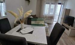 Jednosoban stan, Jagodina, izdavanje, 36m2, 250e, id1455578