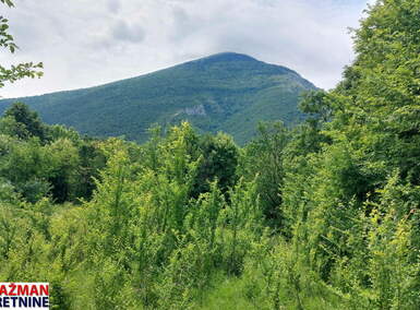 Plac, Boljevac, Mirovo, prodaja, 0m2, 10300e, id1391750