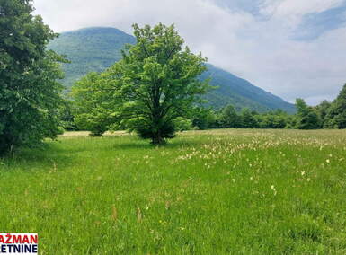 Plac, Boljevac, Mirovo, prodaja, 0m2, 111954e, id1389181