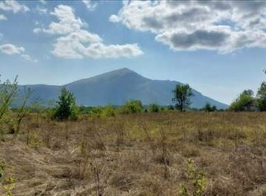 Plac, Boljevac, Ilino, prodaja, 0m2, 41500e, id1265542