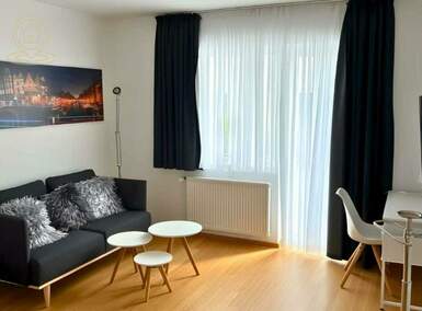 Jednosoban stan, Novi Sad, izdavanje, 32m2, 500e, id1455644