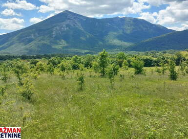 Plac, Boljevac, Mirovo, prodaja, 0m2, 40600e, id1390076