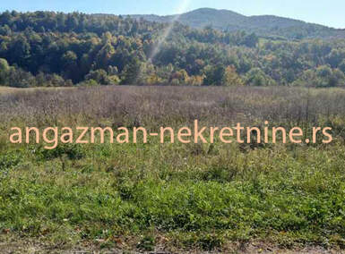 Plac, Boljevac, Bačevica, prodaja, 0m2, 23800e, id820181