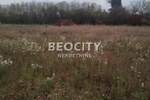 Plac, Beograd, Skela, prodaja, 800m2, 5200e, id1455734
