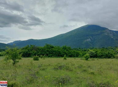 Plac, Boljevac, Mirovo, prodaja, 0m2, 31000e, id1390080