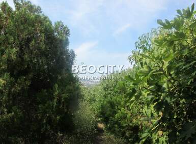 Plac, Beograd, Višnjica, prodaja, 1400m2, 190000e, id1457012