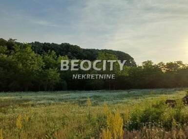 Plac, Bela Crkva, Bela Crkva, prodaja, 3000m2, 30000e, id1457153