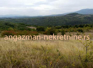 Plac, Boljevac, Vrbovac, prodaja, 0m2, 50000e, id806989