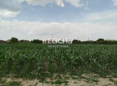 Plac, Novi Sad, prodaja, 700m2, 95000e, id1457834