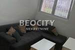 Trosoban stan, Beograd, Zemun (novi Grad), izdavanje, 40m2, 300e, id1457840