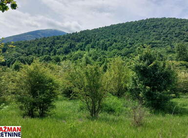 Plac, Boljevac, Mirovo, prodaja, 0m2, 9900e, id1389767