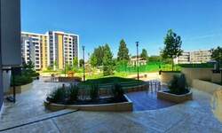 Dvoiposoban stan, Beograd, Saobraćajni fakultet, izdavanje, 75m2, 950e, id1458092