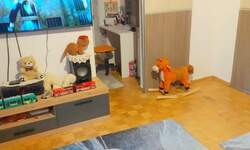 Jednoiposoban stan, Beograd, Mirijevo, prodaja, 41m2, 120000e, id1458102